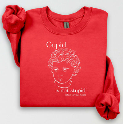 Cupid Sweatshirt, Cute Valentine's Day Shirt, Funny Sweatshirt, Love Crewneck Sweatshirt, Cupid Sweater, Follow Your Heart, Galentines Day