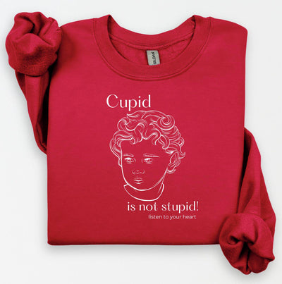 Cupid Sweatshirt, Cute Valentine's Day Shirt, Funny Sweatshirt, Love Crewneck Sweatshirt, Cupid Sweater, Follow Your Heart, Galentines Day
