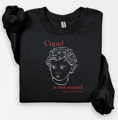 Cupid Sweatshirt, Cute Valentine's Day Shirt, Funny Sweatshirt, Love Crewneck Sweatshirt, Cupid Sweater, Follow Your Heart, Galentines Day