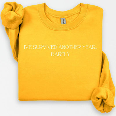 I Survived Another Year Barely Sweatshirt, New Years 2025, NYE Shirt, Festive Party Shirts For Women, Cute Crewneck, Funny Happy NYE Shirt