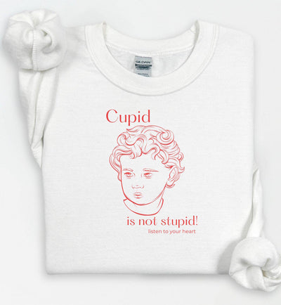 Cupid Sweatshirt, Cute Valentine's Day Shirt, Funny Sweatshirt, Love Crewneck Sweatshirt, Cupid Sweater, Follow Your Heart, Galentines Day
