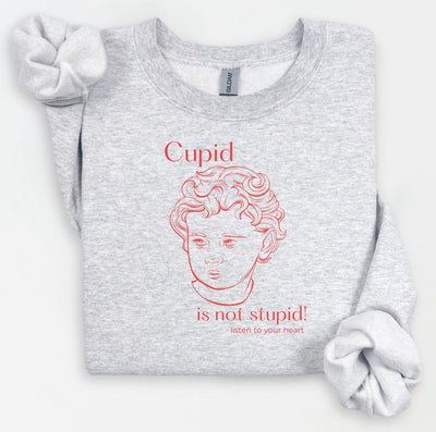 Cupid Sweatshirt, Cute Valentine's Day Shirt, Funny Sweatshirt, Love Crewneck Sweatshirt, Cupid Sweater, Follow Your Heart, Galentines Day