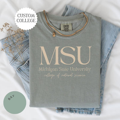 CUSTOM COLLEGE Comfort Colors® Shirt, College Alumni Hoodie, College University High School Crewneck, Graduation Gift Friend, Sorority Shirt